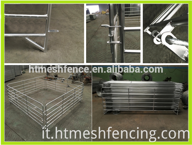 Penne di pecora e capra/ rotonde/ ovale galvanizzate 6 bar con pannelli di tubi quadrati verticali 3 metri (L) x 1,02 metri (H)